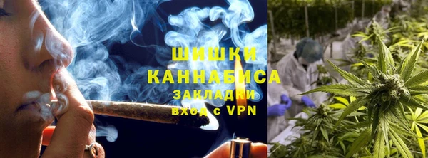 PSILOCYBIN Белоозёрский