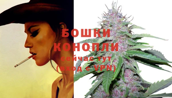 PSILOCYBIN Белоозёрский