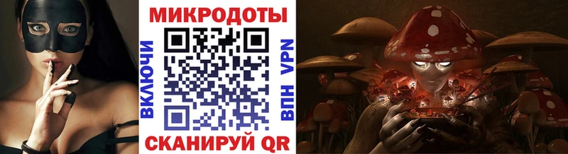 Псилоцибиновые грибы Psilocybe  где можно купить наркотик  Верхнеуральск 