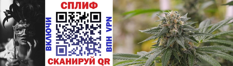 Бошки Шишки Amnesia Верхнеуральск